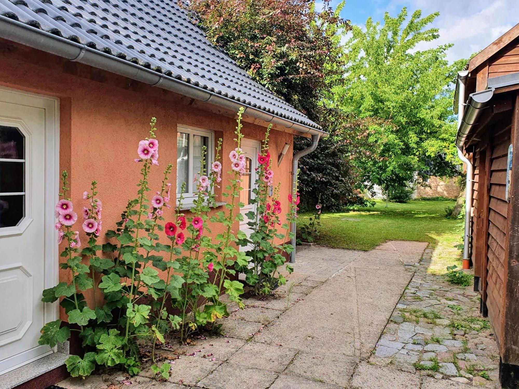 Ferienhaus Moewe Hanshagen  Екстер'єр фото